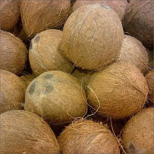 Premium husked coconut
